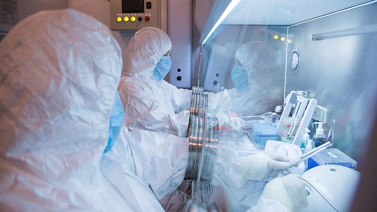 Siberian plague scare: officials deny outbreak as quarantine persists