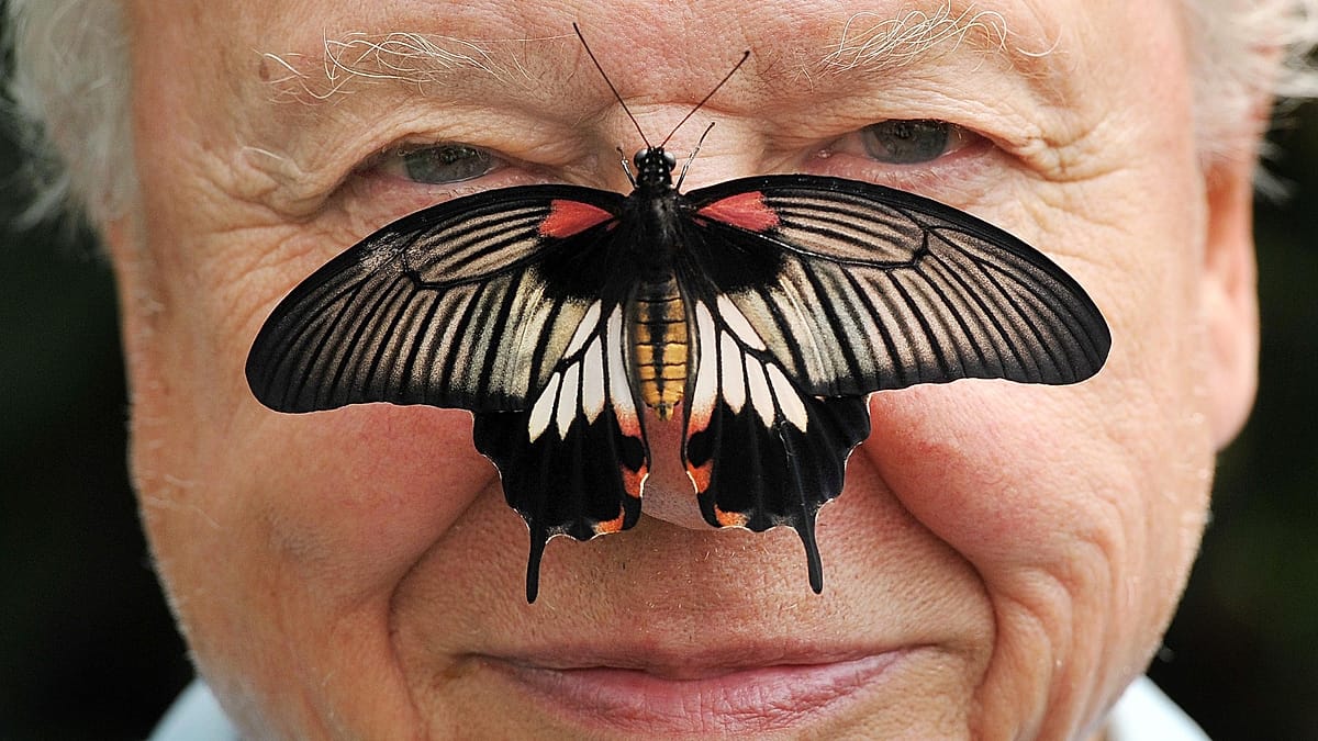 Sir David Attenborough at 100: A Life in Pictures and Conservation