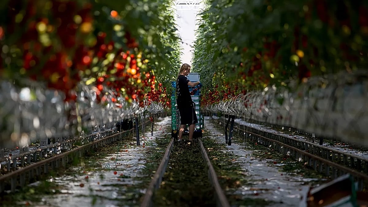 Sixteen EU States Demand More Funds for Agriculture and Fisheries in Next Budget