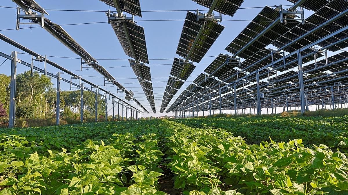 Solar Power Hits Record 25% of EU Electricity in June, Led by Germany, Spain, Poland