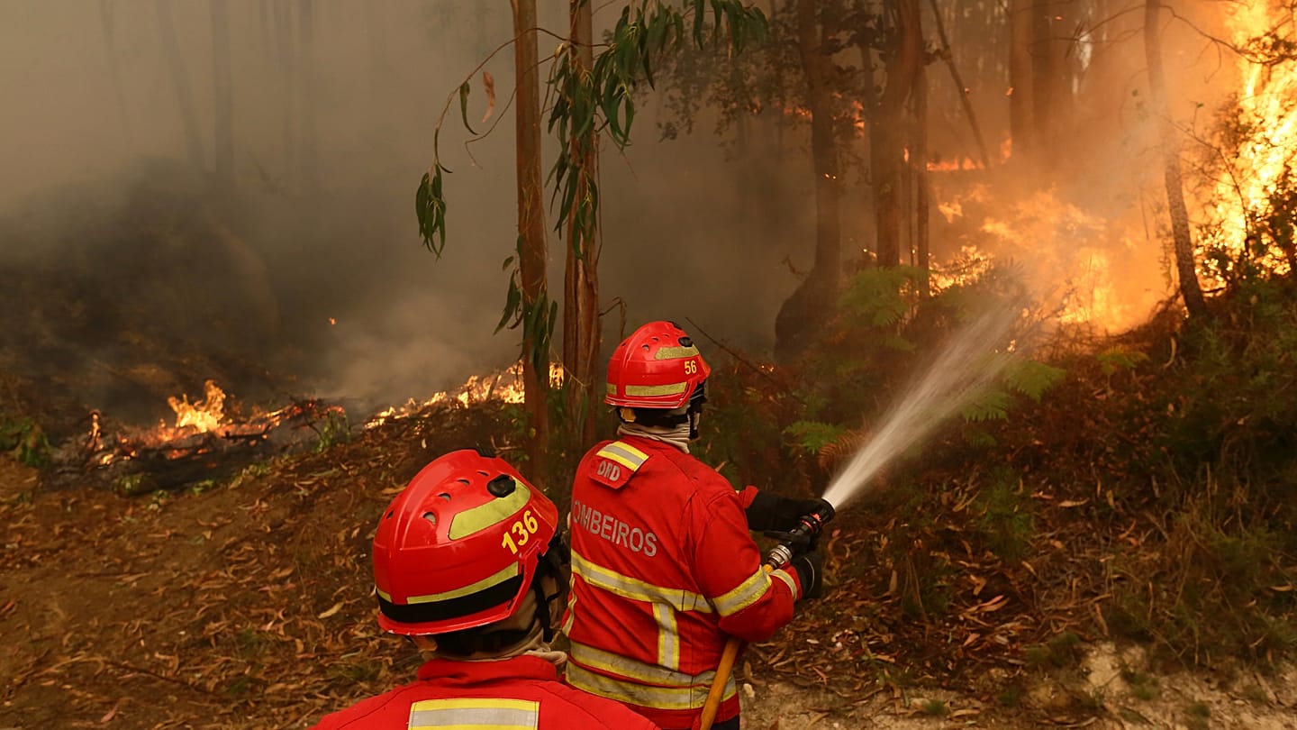 Spain and Italy Send Firefighting Aircraft to Portugal as Wildfires Spread
