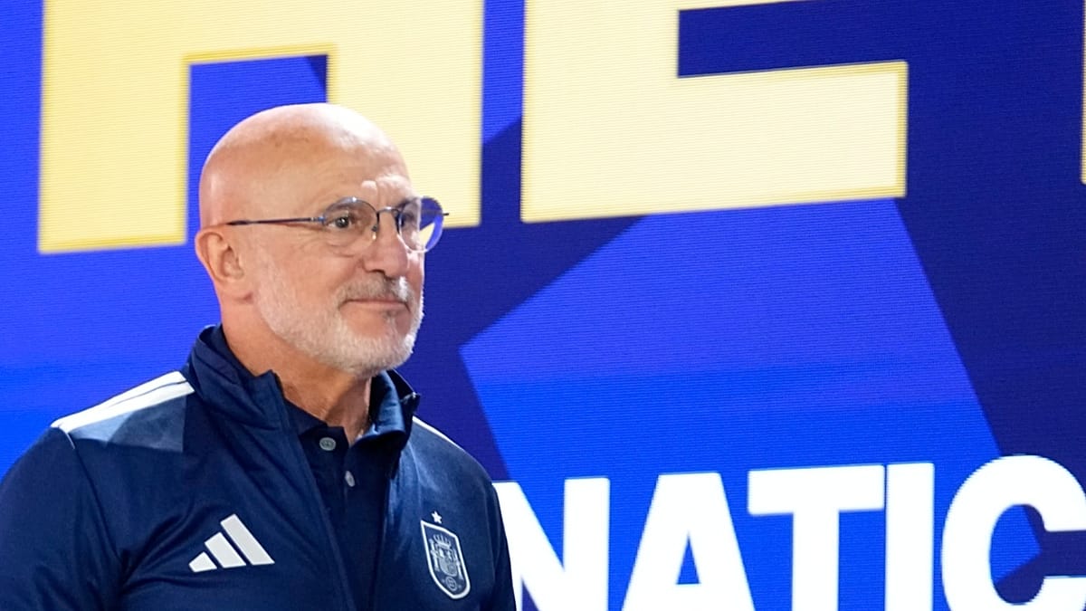Spain Coach De la Fuente Condemns Argentina Players' Post-Match Conduct as 'Intolerable'