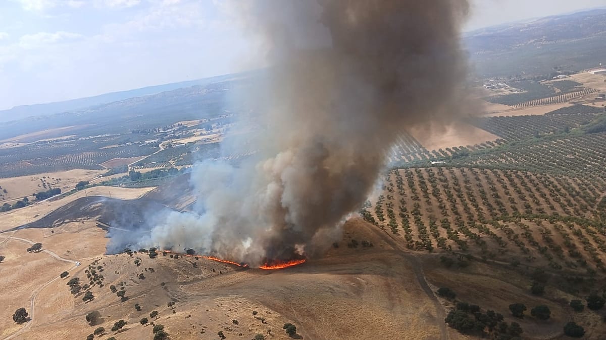 Spain Enters Peak Wildfire Season with 50,000 Hectares Burned