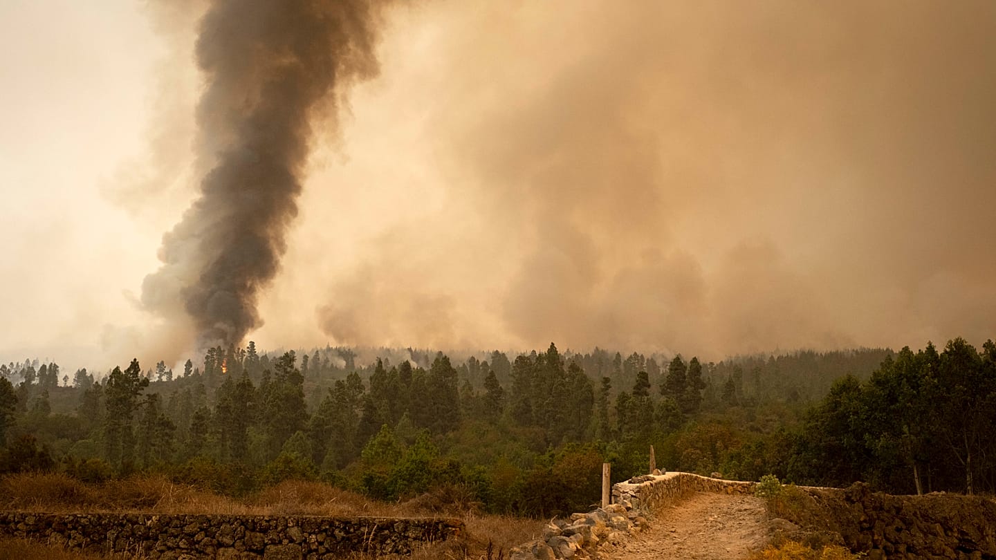 Spain's 2026 Wildfire Season: 50,000 Hectares Burned, Cantabria Worst Hit