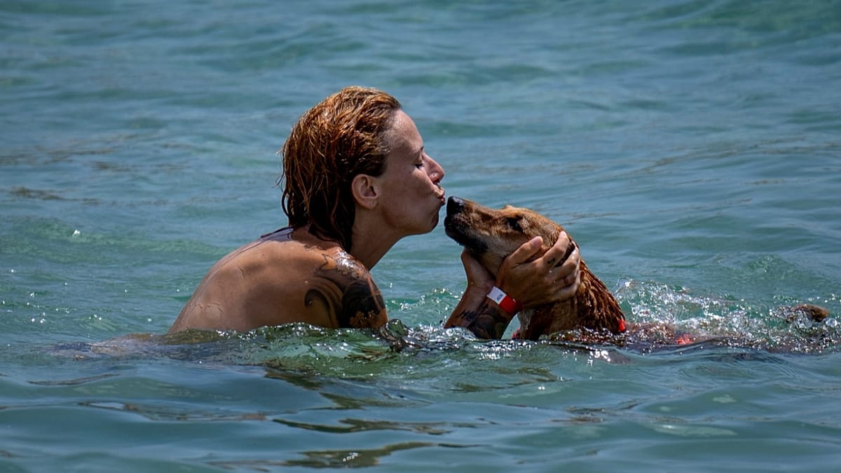 Spain's dog-friendly beaches in 2026: where to swim with your pet