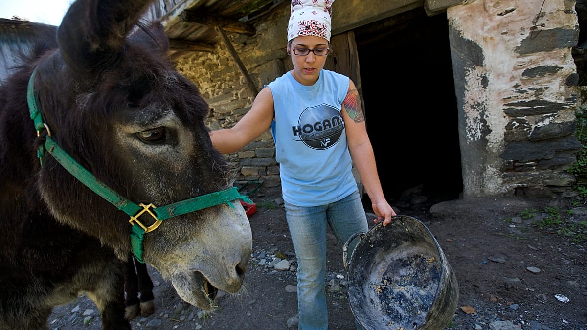 Spain's rural vet shortage threatens livestock industry and animal welfare