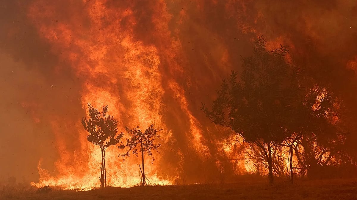 Spain Unveils Largest-Ever Forest Fire Campaign After Record 2025 Blazes