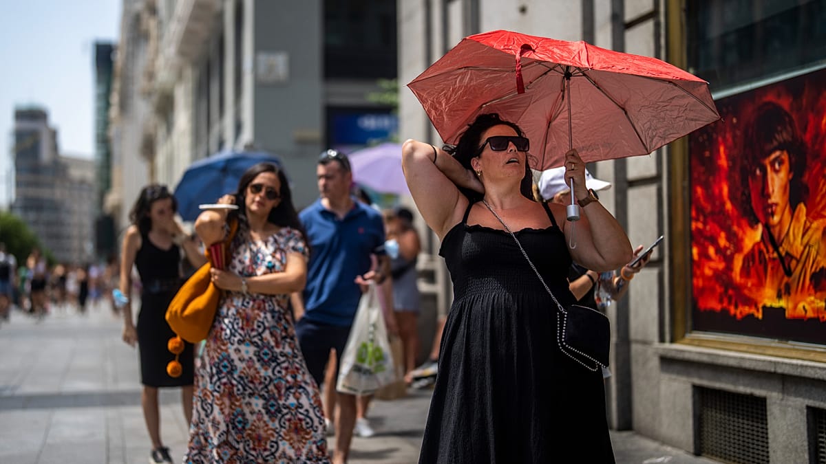 Spanish nutrition agency to revise menopause guide after male-only data criticism