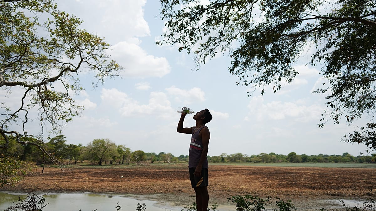 Sri Lanka's central drought dries wells and crowds wildlife at shrinking water holes