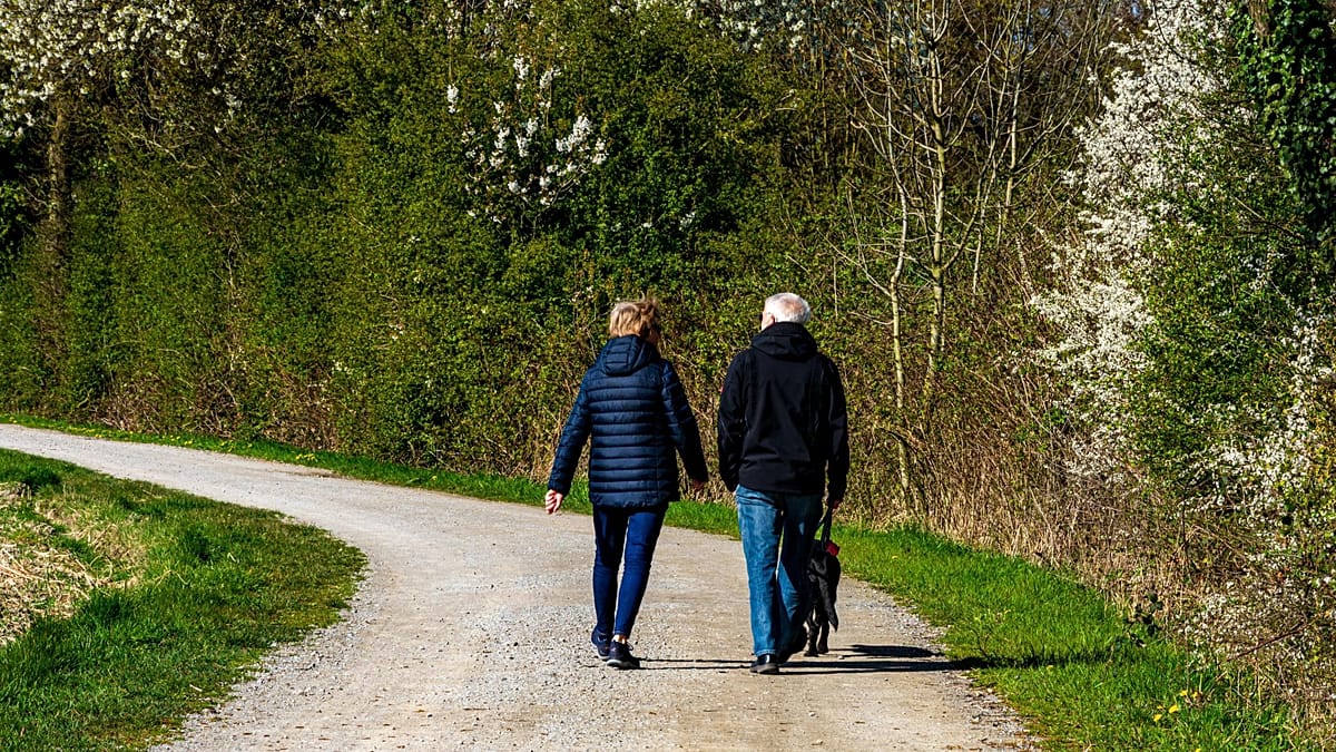 Step count and walking pace both cut early death risk, study finds