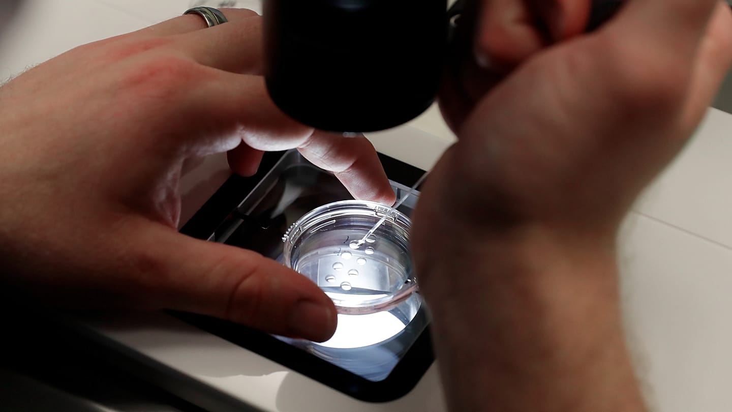 Study Finds No Evidence for Costly IVF Add-Ons Offered Across Europe
