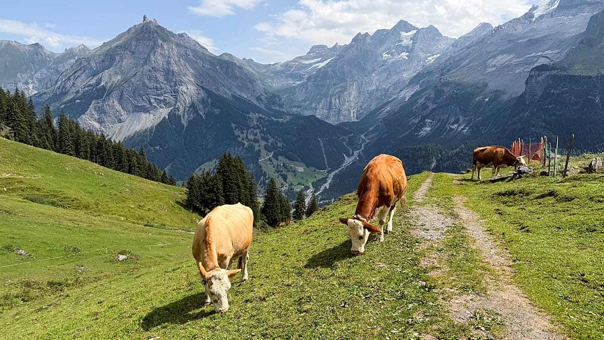 Swiss Alpine village lives under threat of collapsing peak