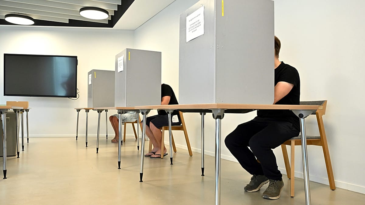 Tactical voting drive in Saxony-Anhalt sparks cross-party backlash