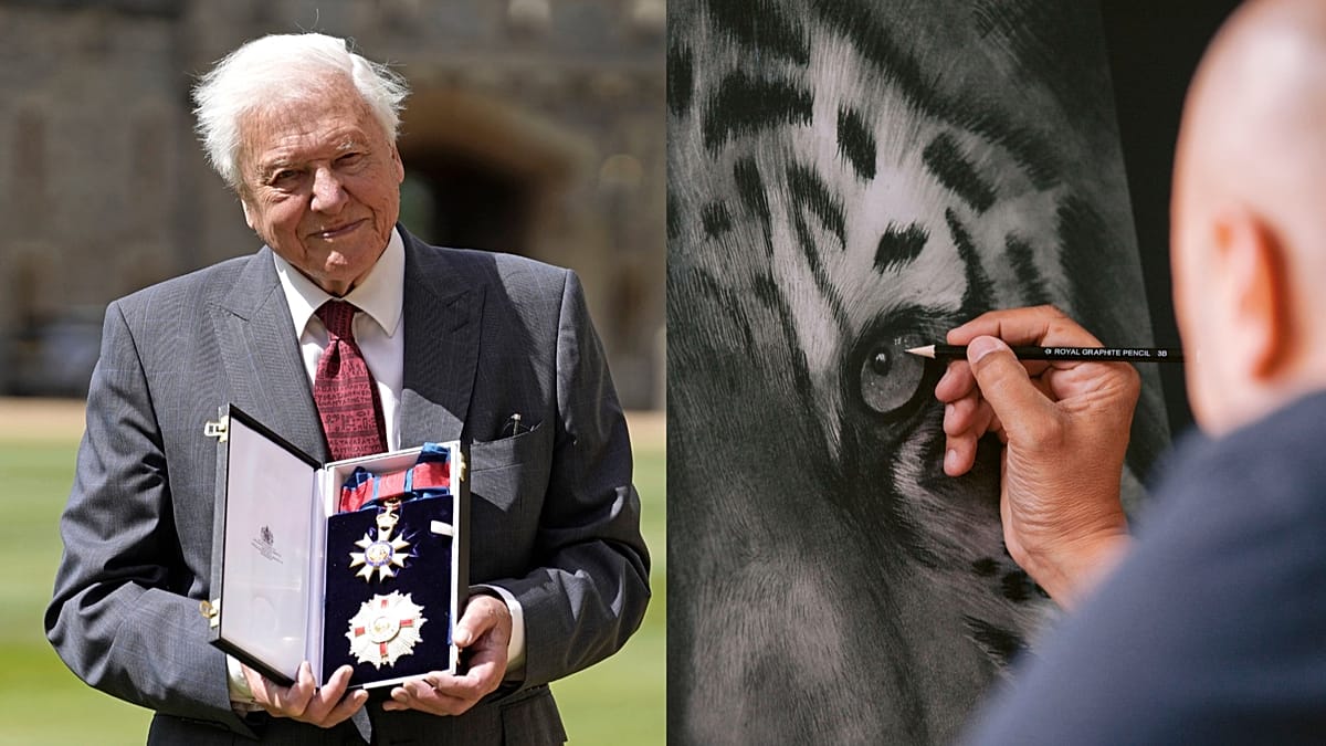 The Attenborough Effect: How a Broadcaster Inspires a New Wave of Wildlife Artists