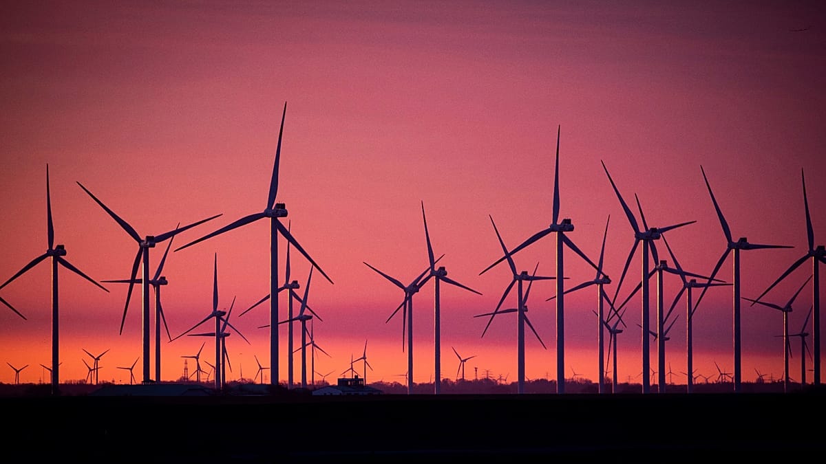 Thermal cameras reveal offshore wind turbines' true bird collision toll