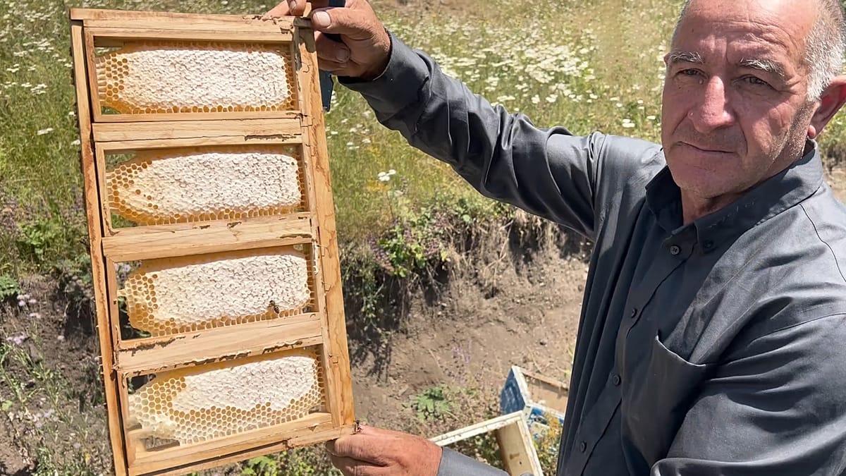 Three generations of beekeeping thrive again in Azerbaijan's Kalbajar