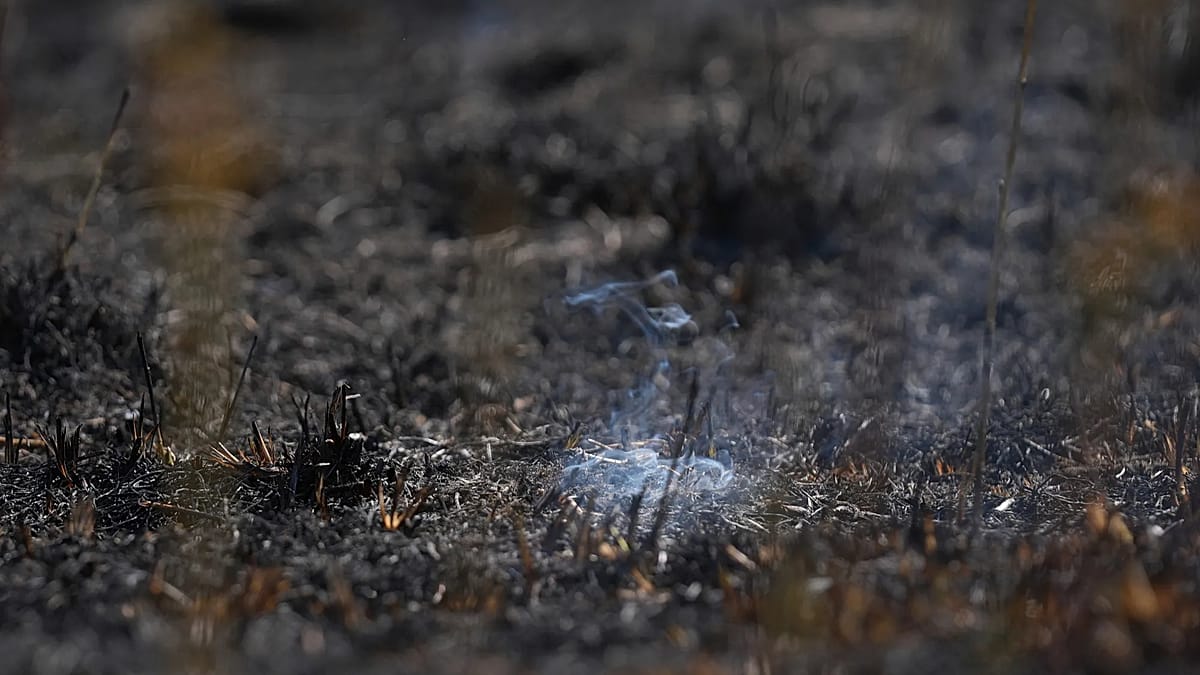Thuringia's underground lignite fire could smoulder for years