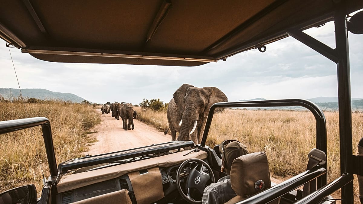 Travellers shift from FOMO to JOMO and bucket-list trips
