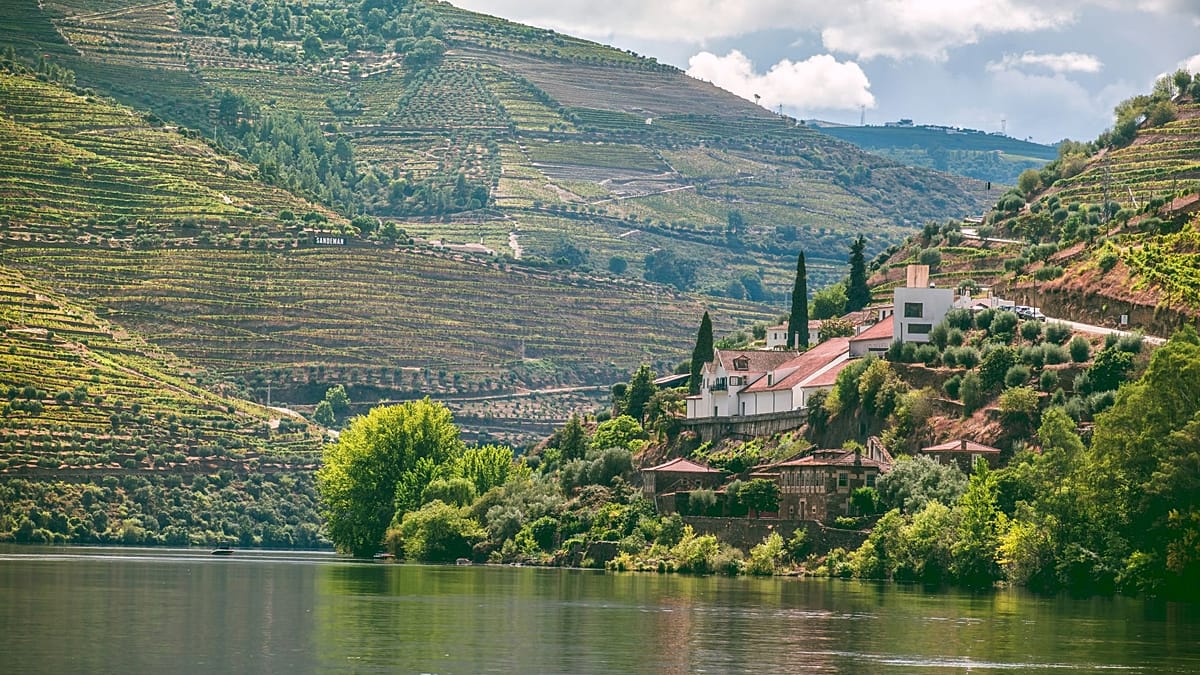 Tripadvisor names Europe's top food and drink tours for 2026