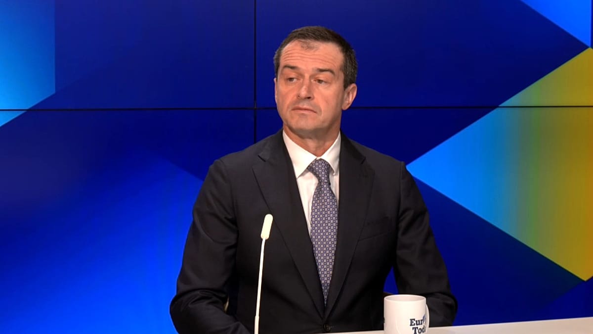 Ukraine's EU Ambassador: Focus on Real Integration, Not Labels