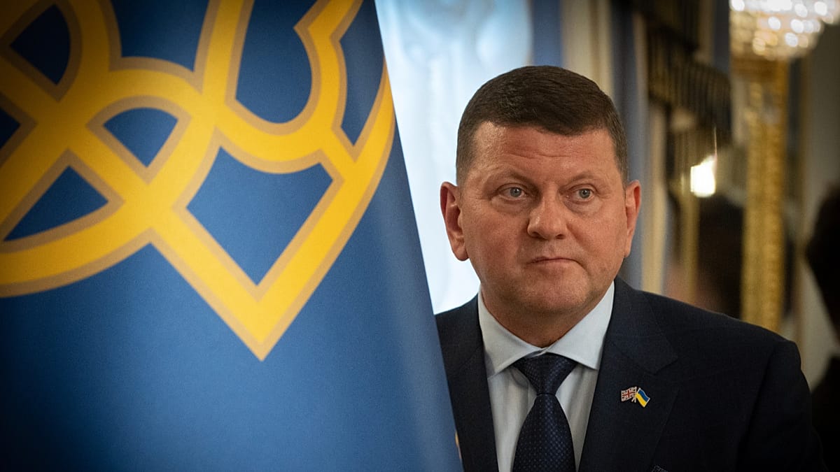 Ukraine's Former Top General Zaluzhnyi Plans Presidential Run, Reports Say