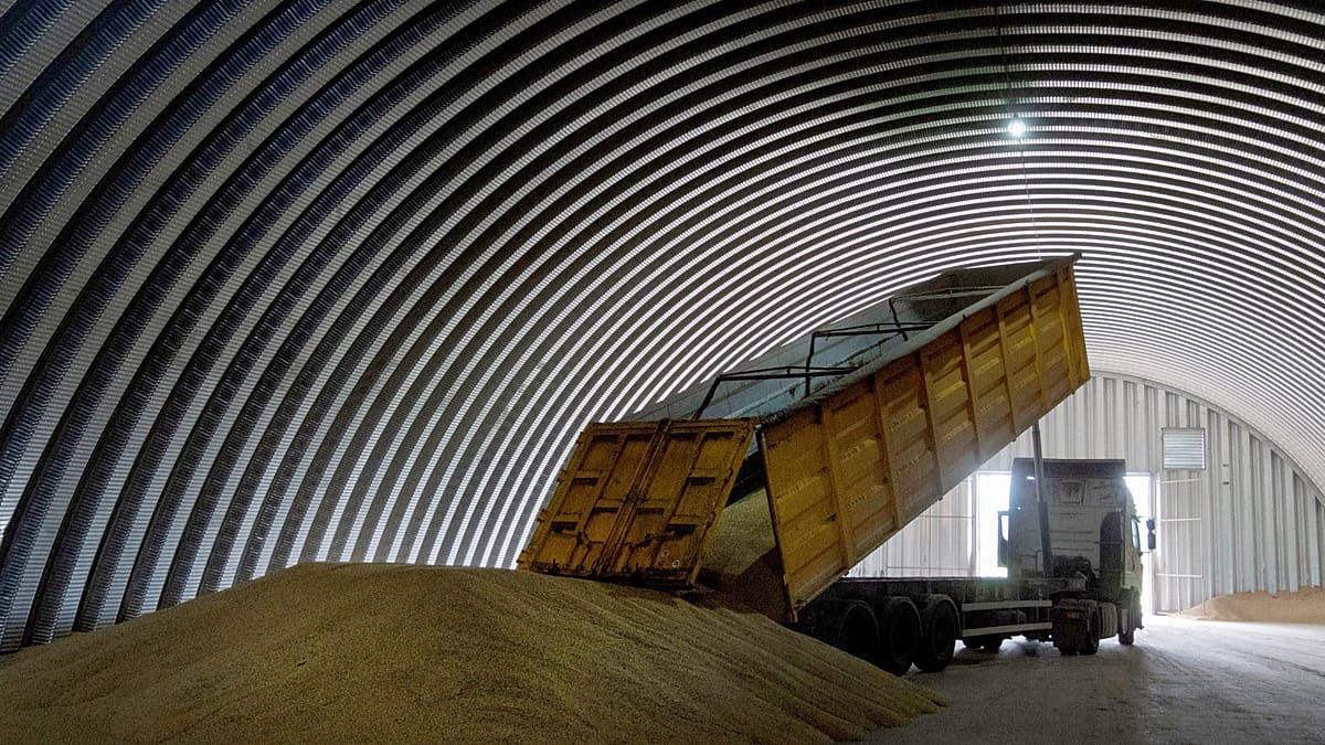Ukraine Vows Retaliation as Stolen Grain Reaches Turkey, Egypt, Algeria