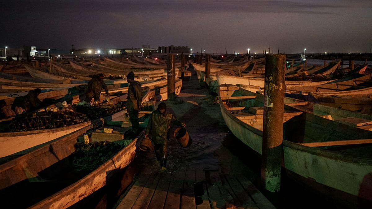 UN Reports 144 Dead or Missing After Migrant Boat Drifts for 25 Days Off Mauritania