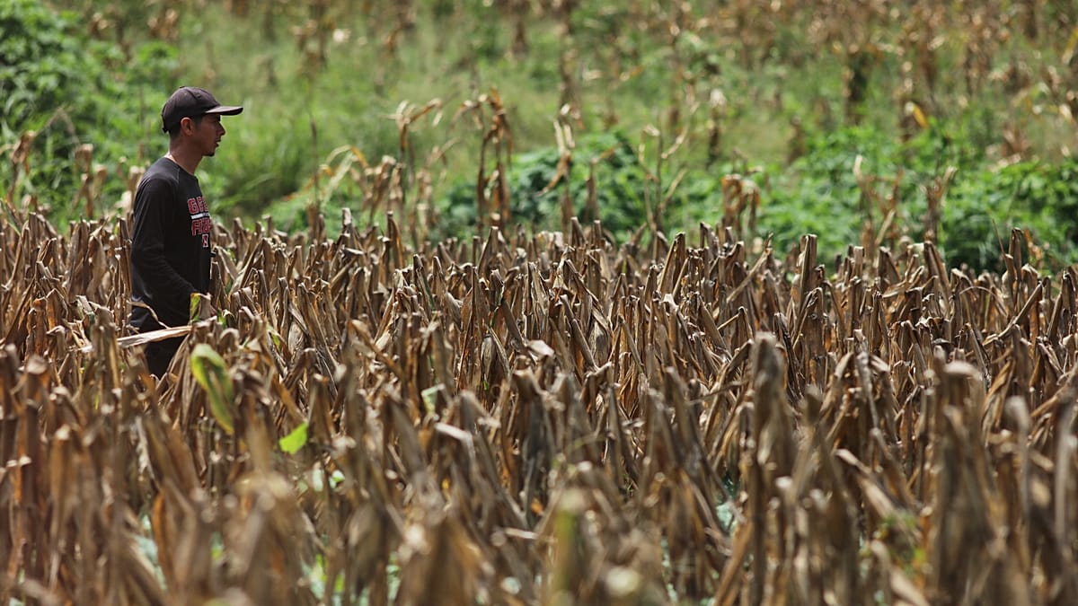 UN warns El Niño may break records as it urges Europe and others to act