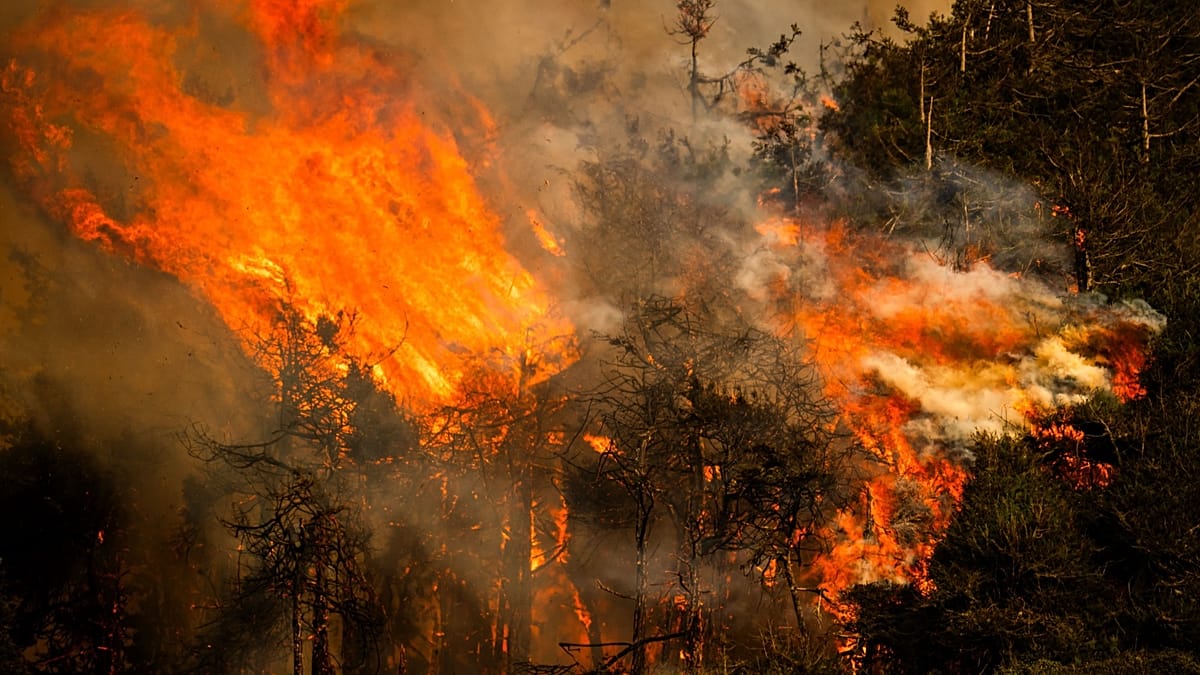 UN warns El Niño will intensify into 'very strong' event lasting until February
