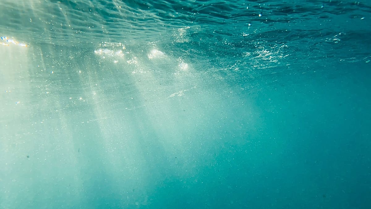 Underwater solar cells pass trial at ten metres depth