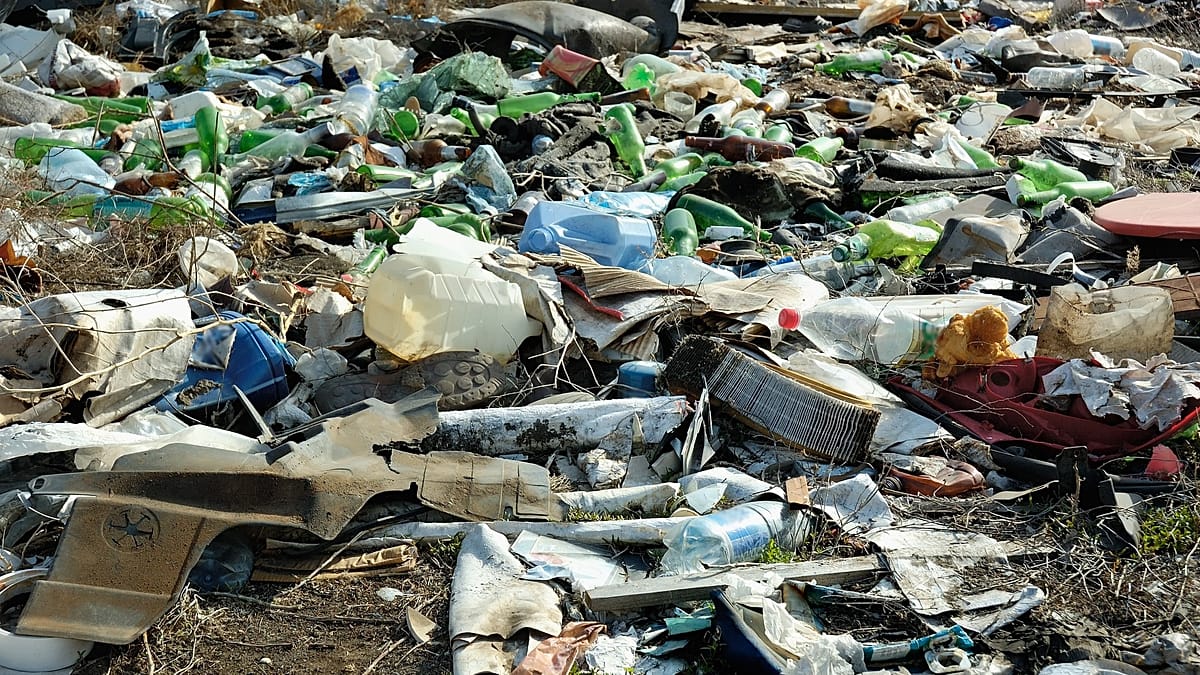 Ushuaia Officials Deny Landfill Link to Hantavirus Outbreak on Cruise Ship
