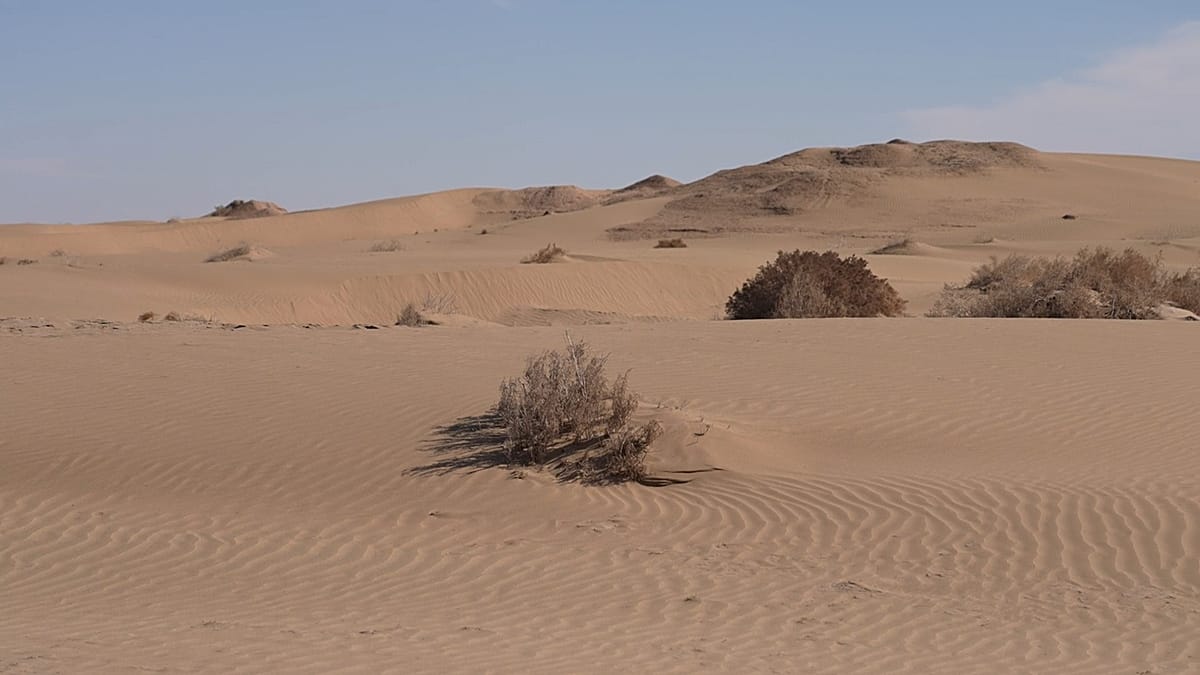 Uzbekistan's deserts: ancient cities, Zoroastrian towers, and steppe rebirth