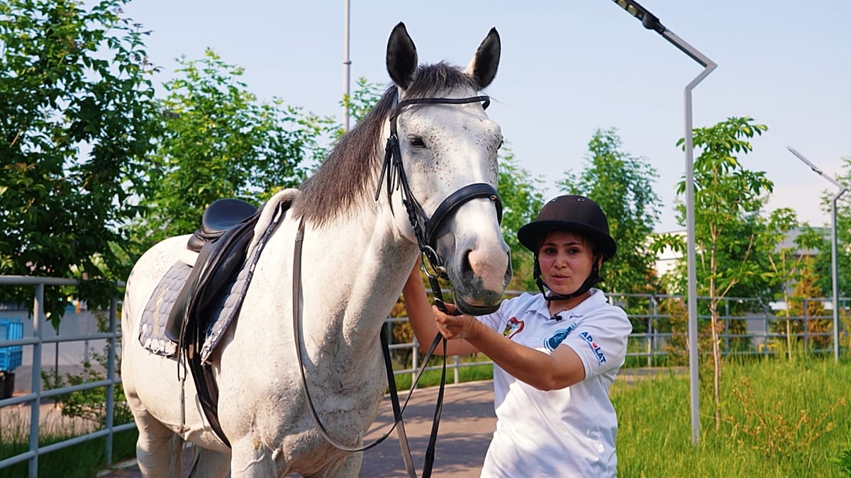 Uzbekistan's Equestrian Revival: Polo, Breeding, and a New Generation of Riders
