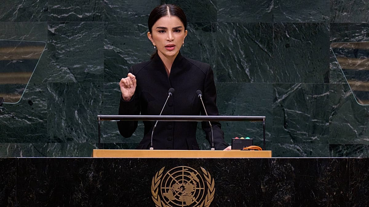 Uzbekistan urges UN reform, touts Central Asia cooperation