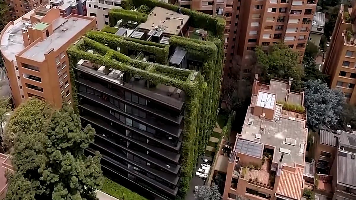 Vertical Gardens: Europe's Practical Weapon Against Urban Heat