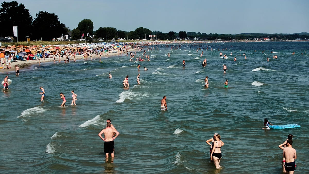 Vibrio Bacteria in European Waters: What You Need to Know This Summer