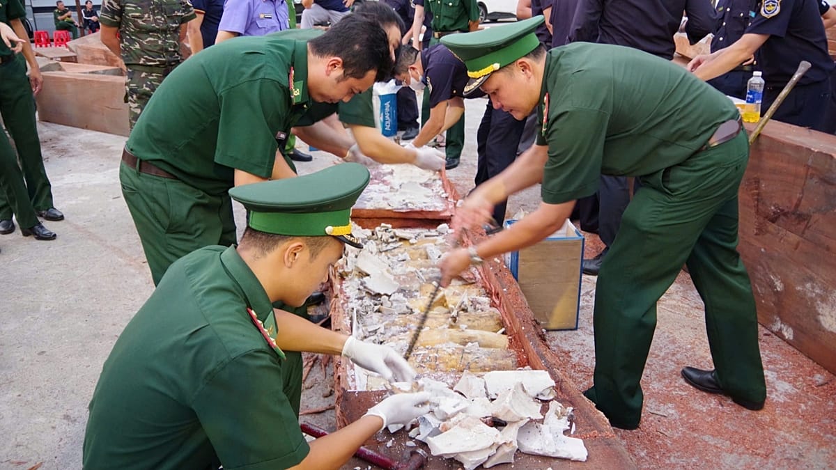 Vietnam seizes over a tonne of ivory smuggled from Congo