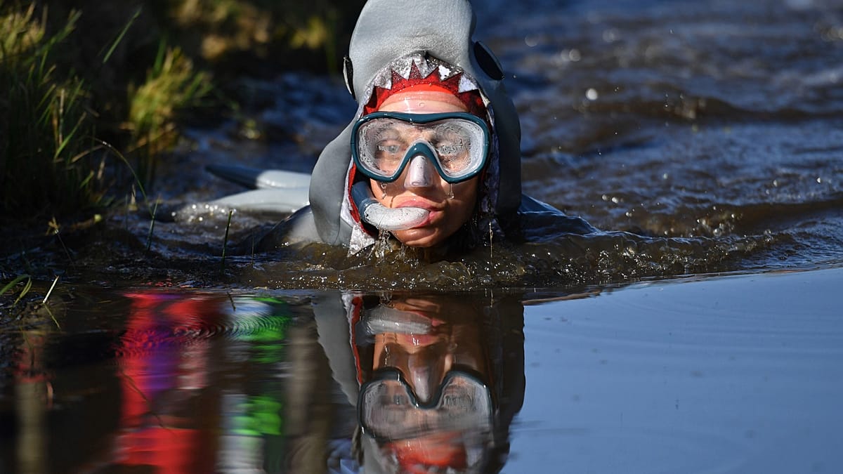 Wales marks four decades of bog snorkelling championships