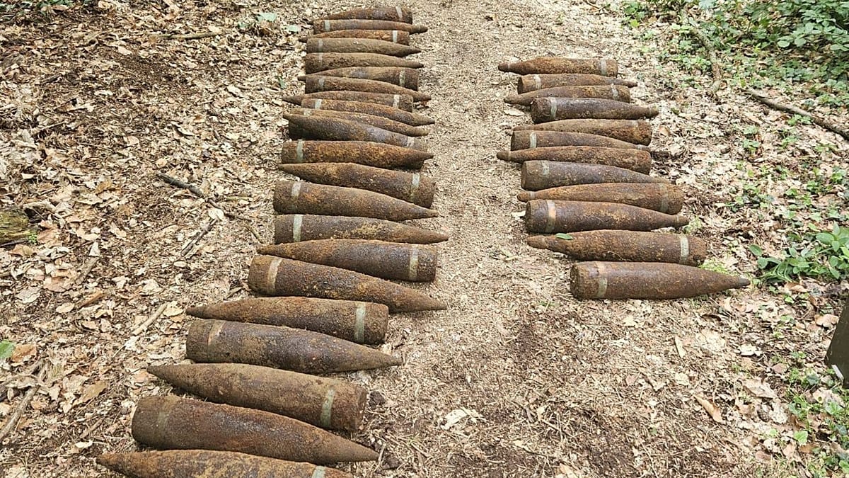 Walk in Berlin Forest Leads to Discovery of 1.5 Tonnes of Soviet WWII Ammunition