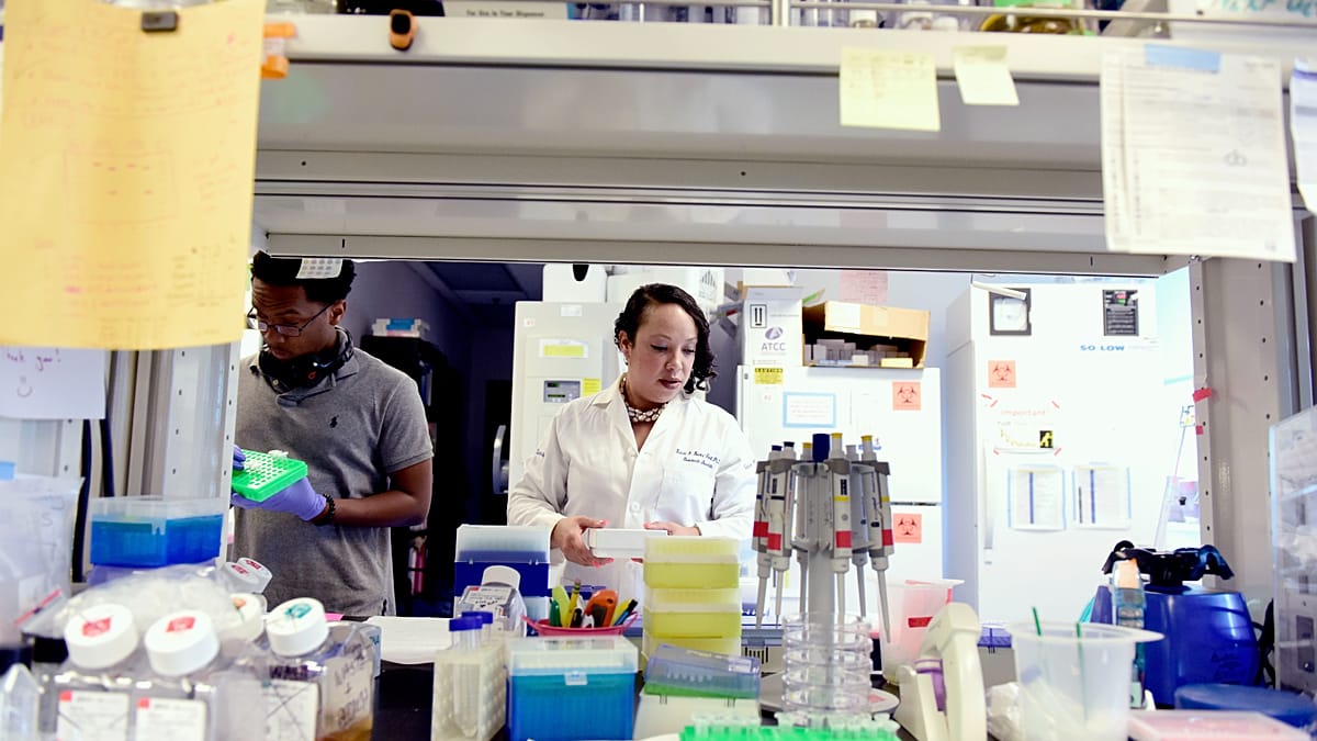 Wastewater Surveillance Detects All Major Cancer-Causing Viruses, Opening Prevention Avenues