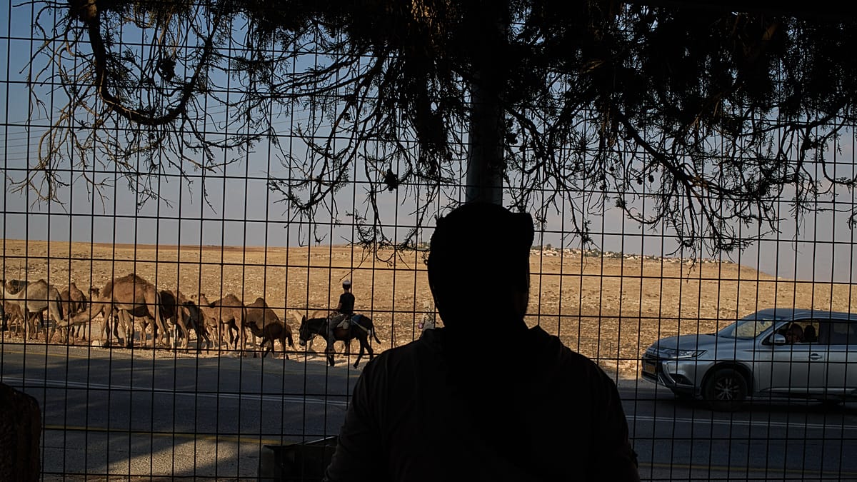 West Bank springs diverted as 12 nations sanction settler trade