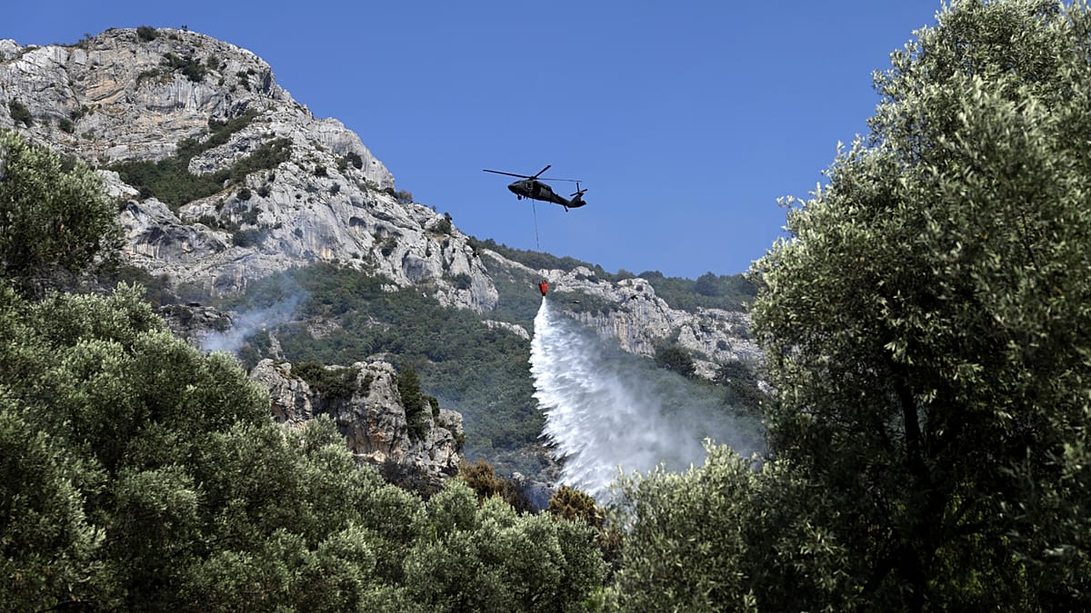 Western Europe endures record heat as wildfires rage from Albania to Spain