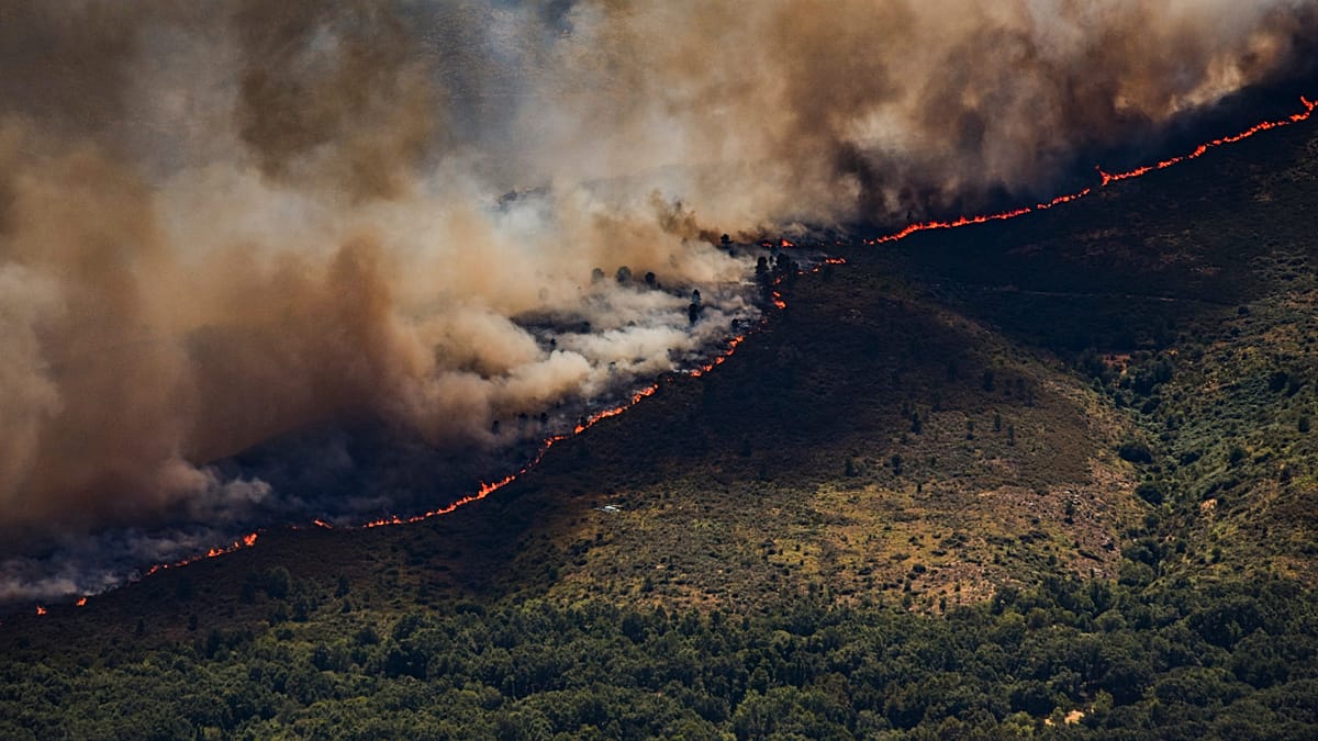 WHO warns wildfire frequency in Europe has surged 57% in four years