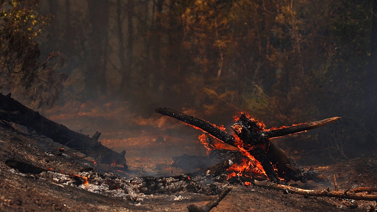 Wildfire in Gironde Forces Evacuation of Thousands Near Le Porge