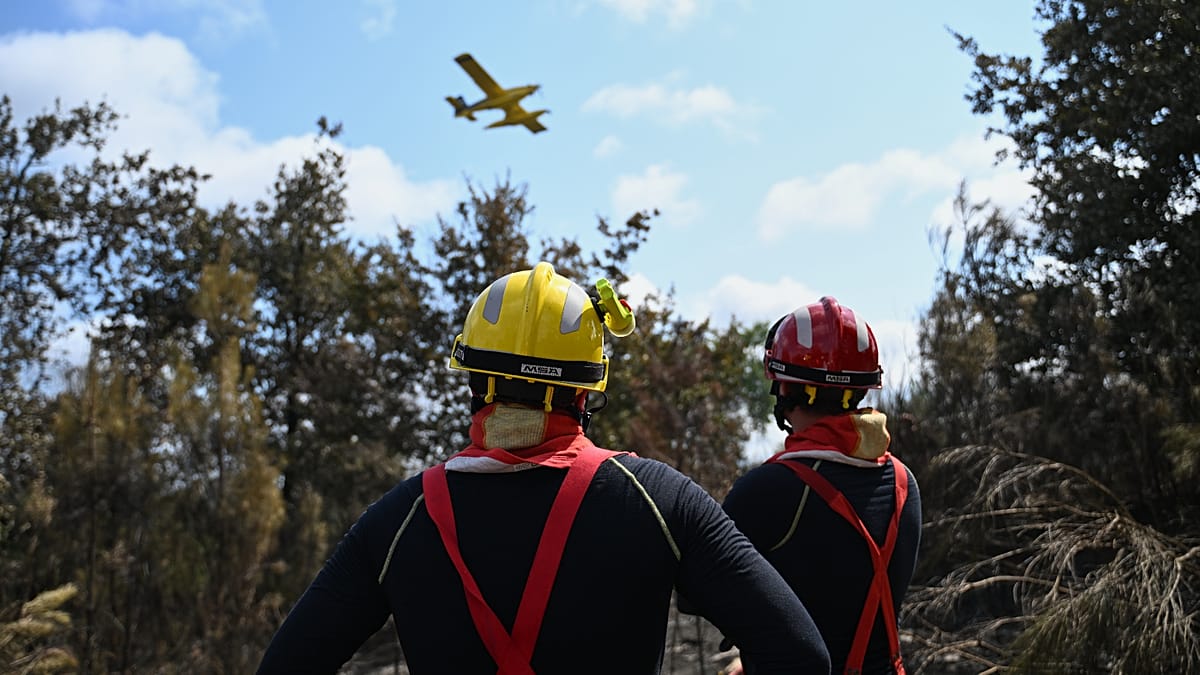 Wildfire near Narbonne scorches 100 hectares as France battles summer blazes