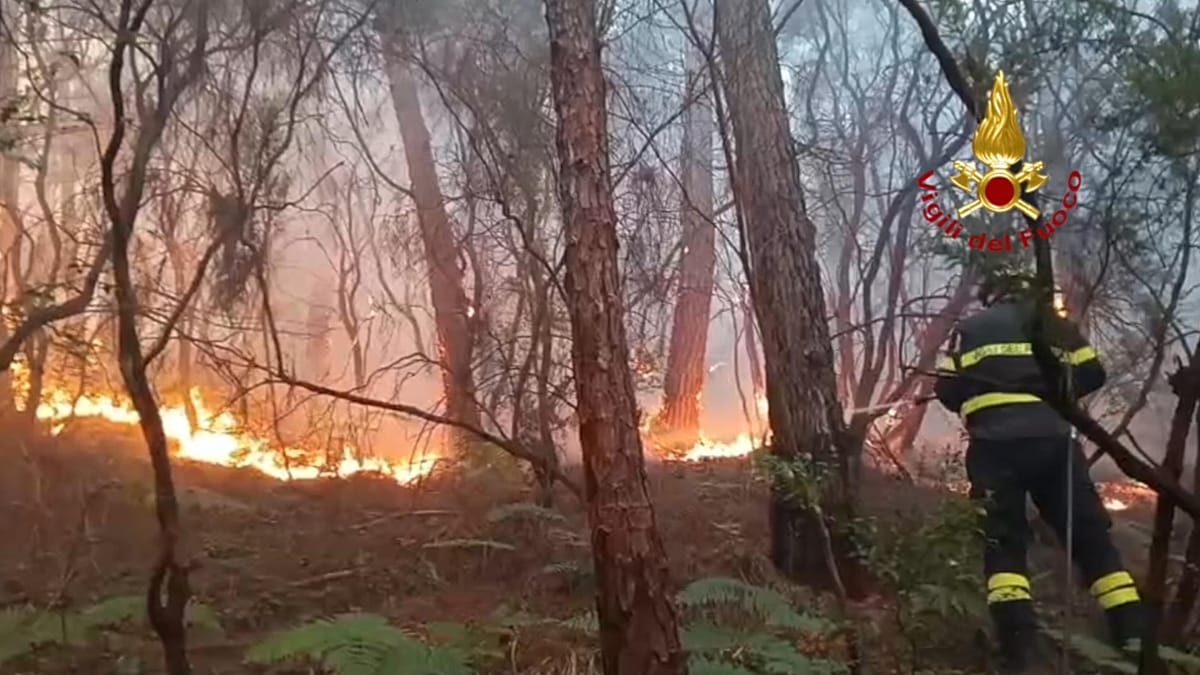 Wildfire Rages on Monte Faeta in Tuscany, 800 Hectares Burned and 3,000 Evacuated