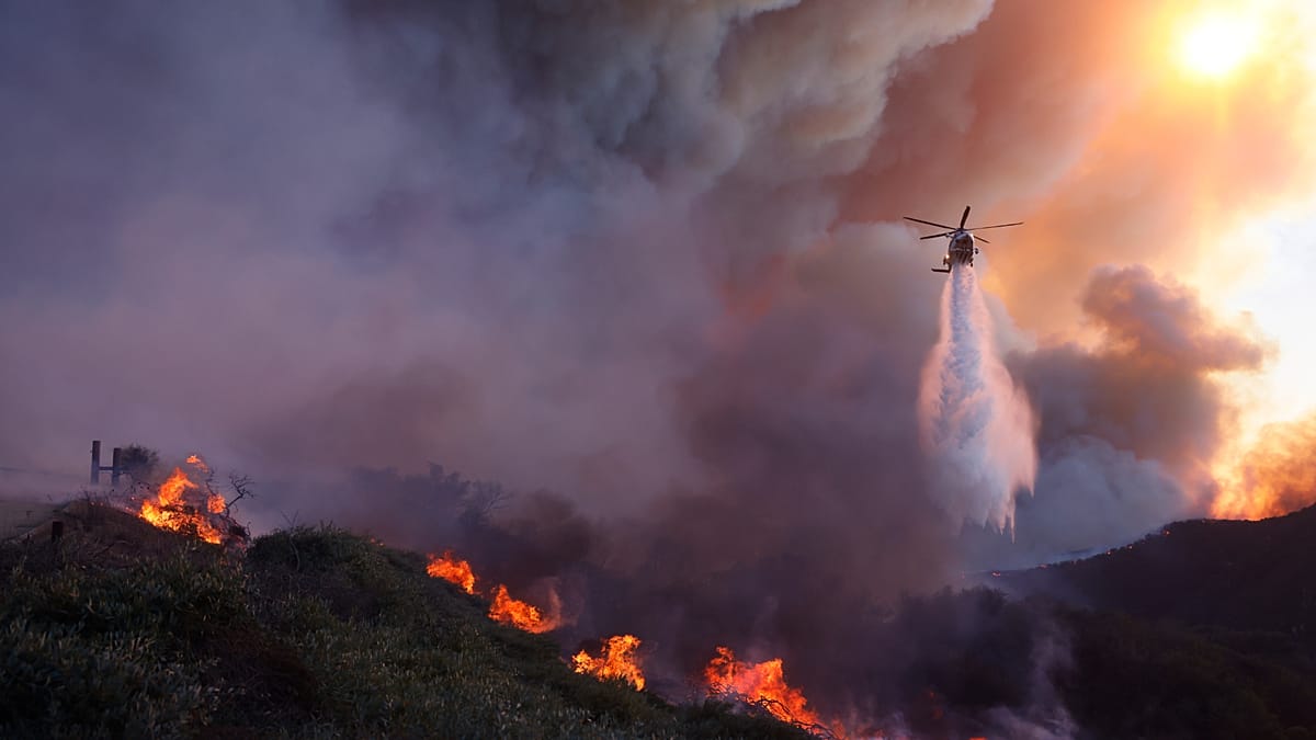 Wildfire smoke in pregnancy tied to higher autism risk, study finds