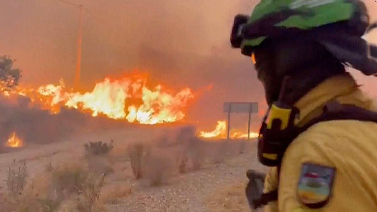 Wildfire Survival: Key Steps to Take When Flames Approach