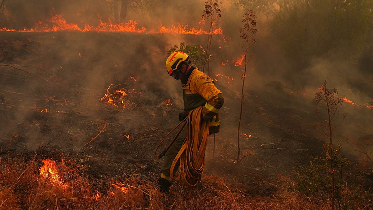 Wildfires devastate Spain's Ávila province, leaving homes and vehicles in ashes