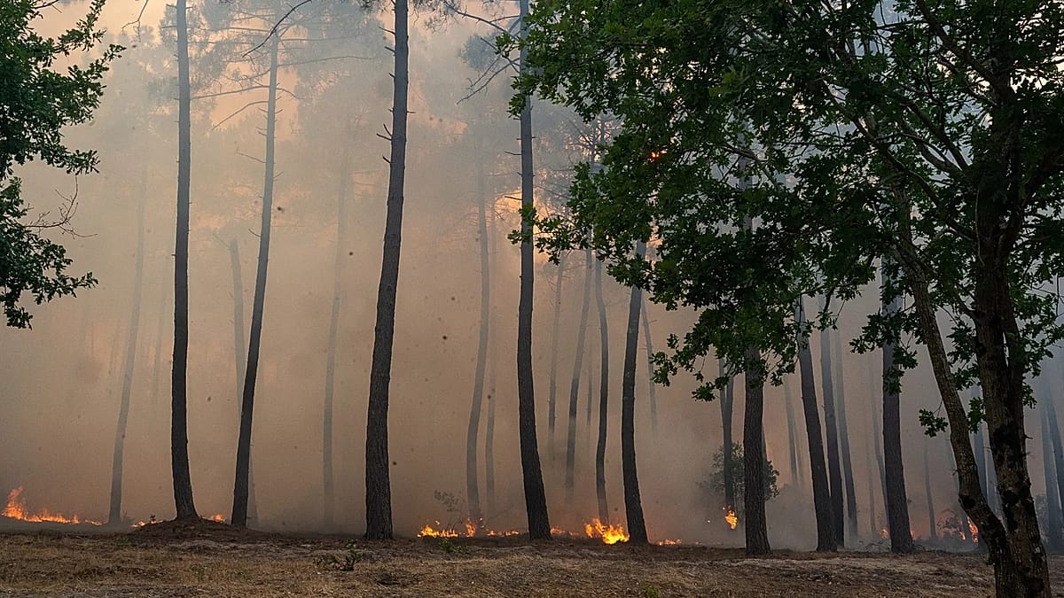 Wildfires Force Evacuations in Bordeaux Suburbs as Southern Europe Burns